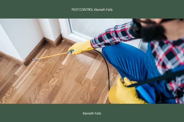 PEST CONTROL Klamath Falls
